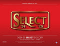 2024-25 Panini Select Premier League Blaster 20 Box Case